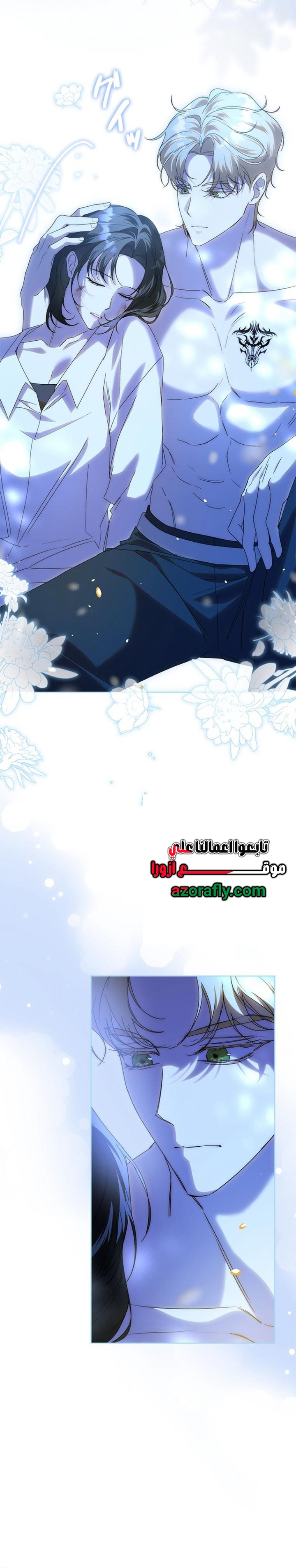 الصفحة 11