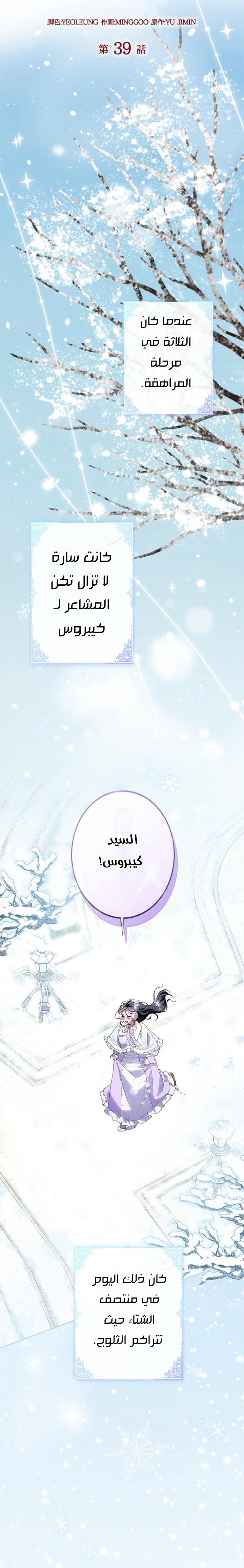 الصفحة 13