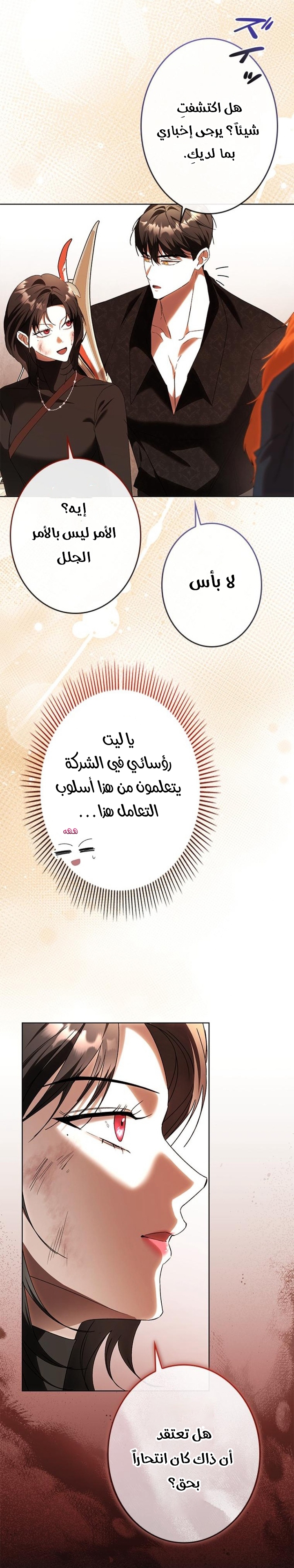 الصفحة 17