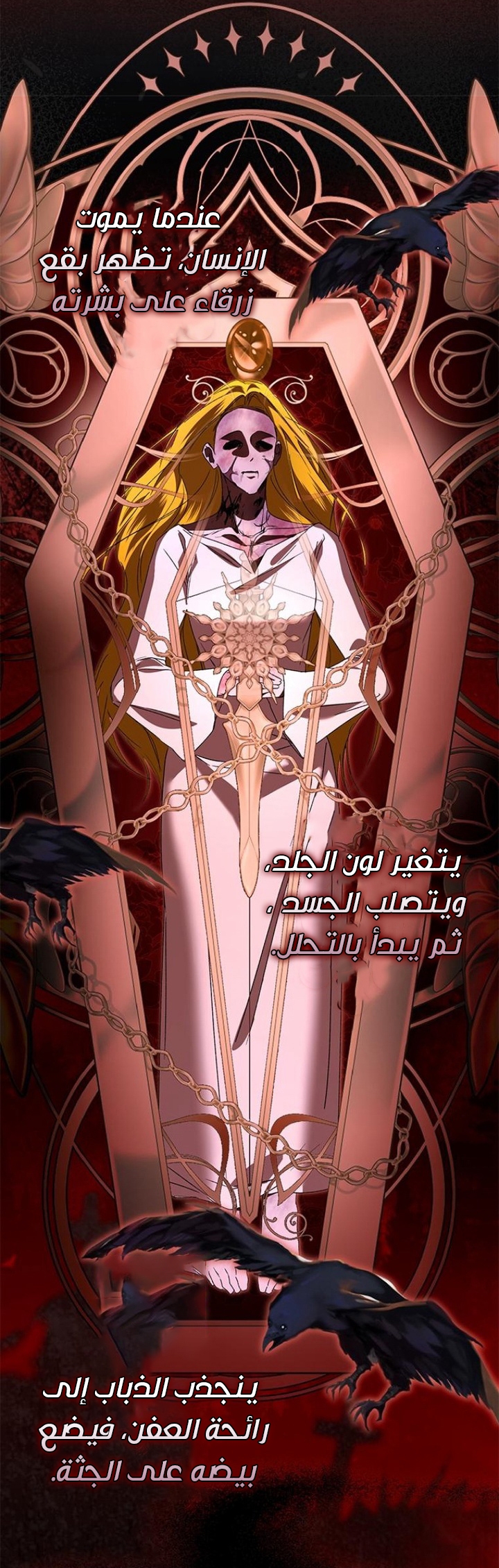 الصفحة 18