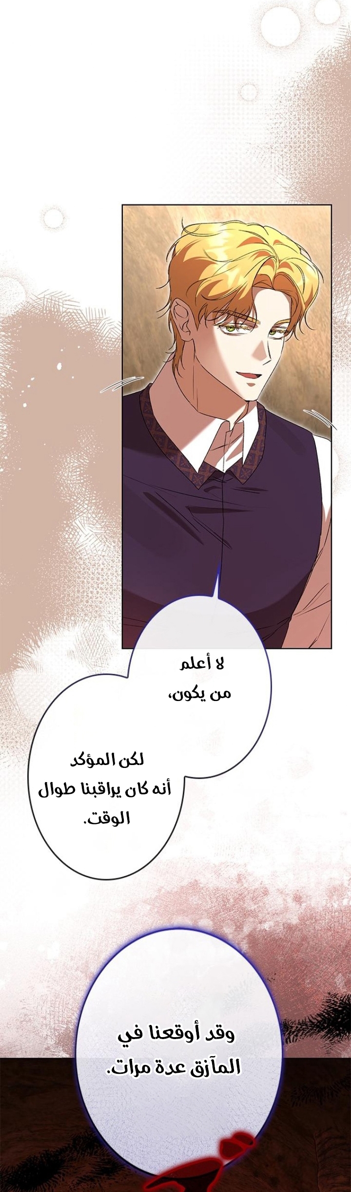 الصفحة 17