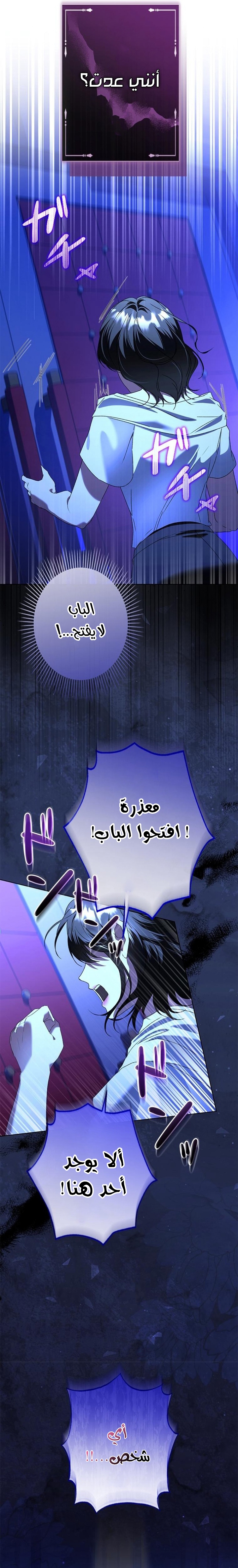 الصفحة 29