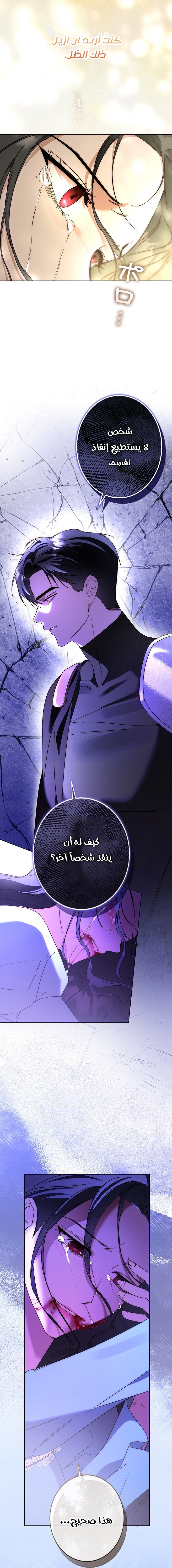 الصفحة 16