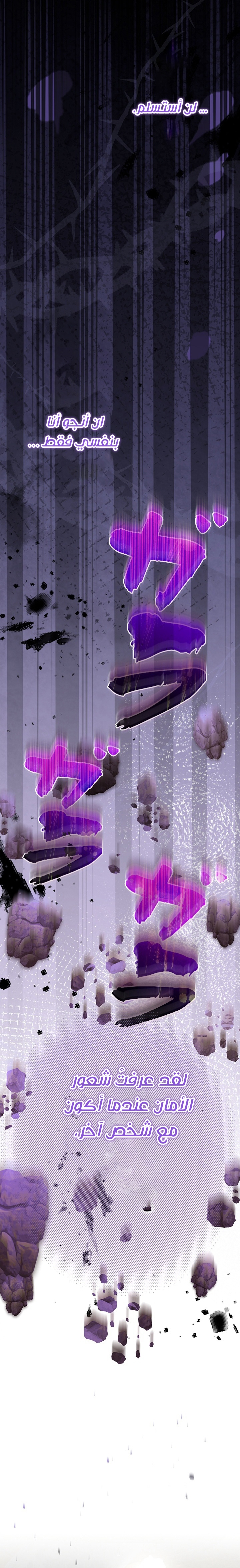 الصفحة 27