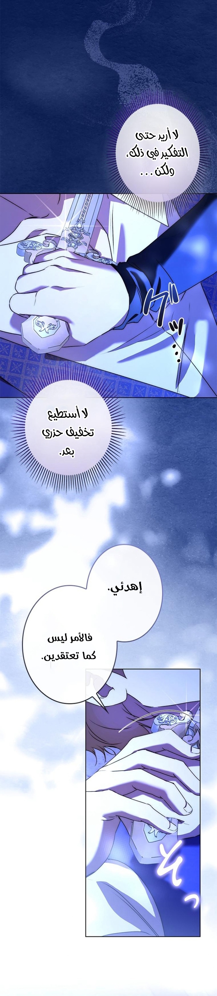 الصفحة 12