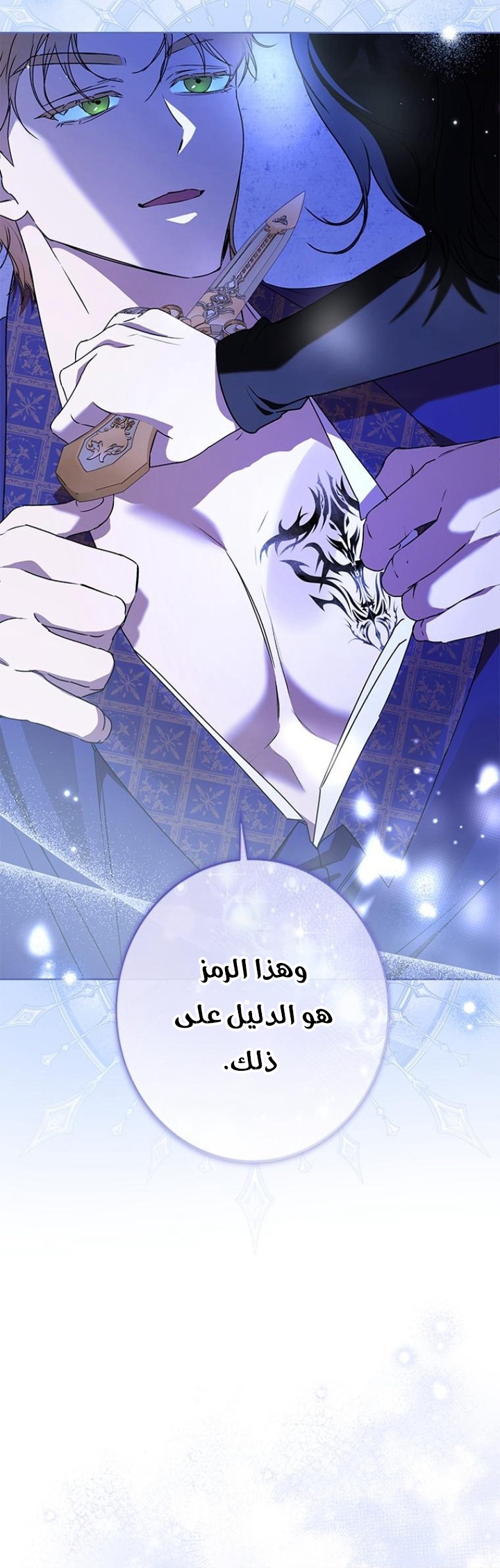 الصفحة 16
