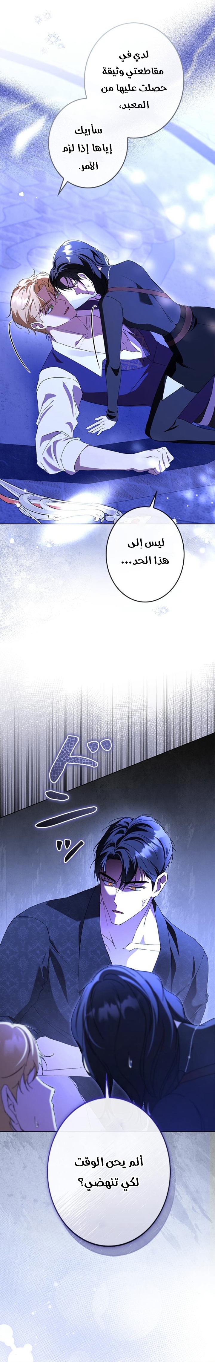 الصفحة 21