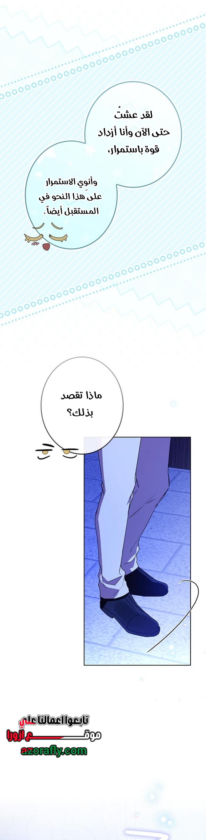 الصفحة 27