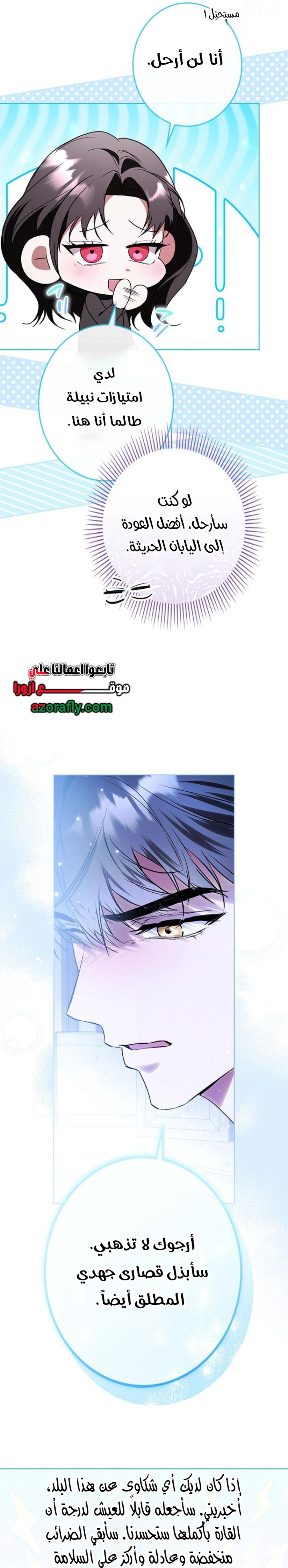 الصفحة 25