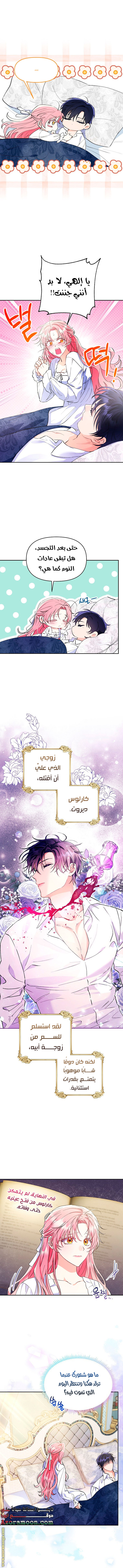 الصفحة 4