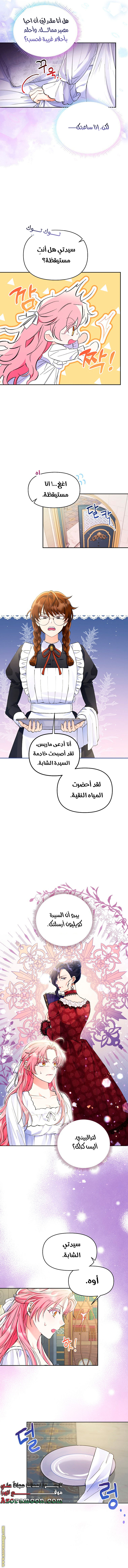 الصفحة 5