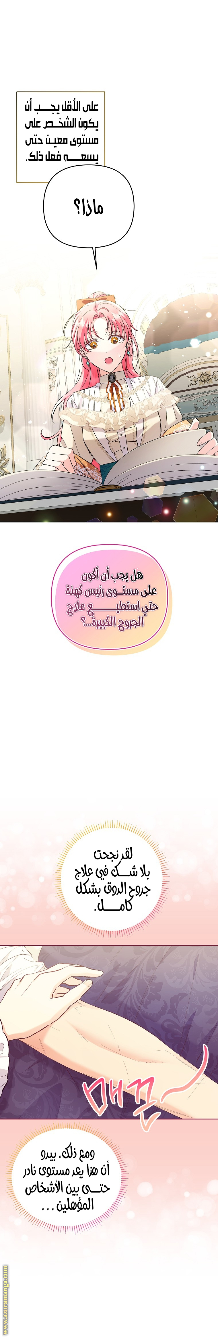 الصفحة 3