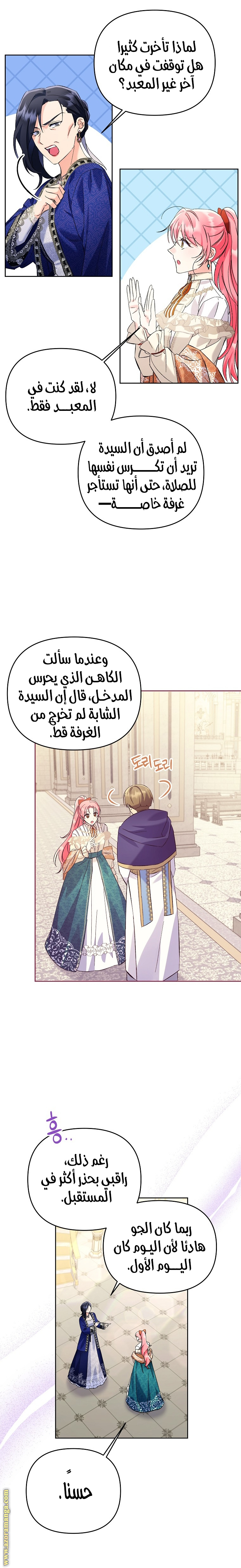 الصفحة 17