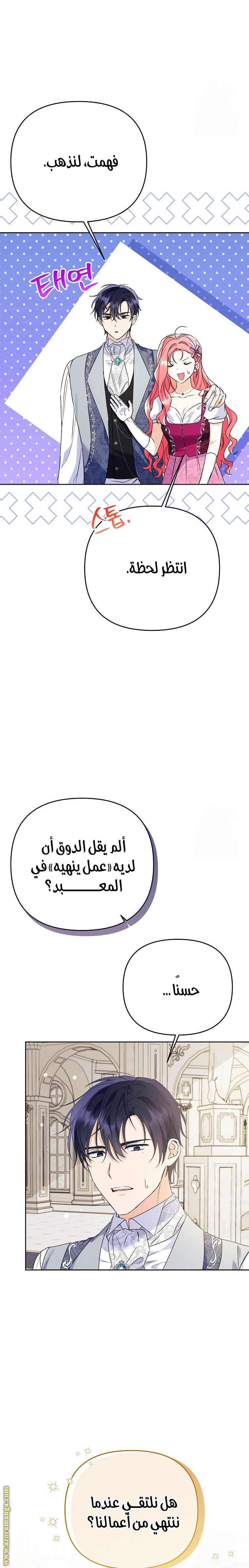 الصفحة 25