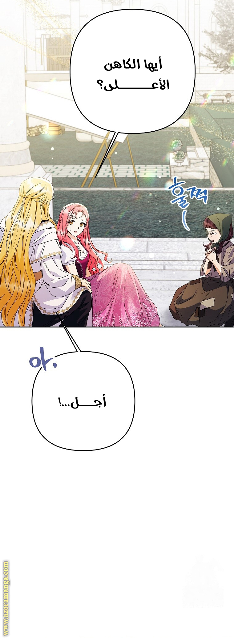 الصفحة 17