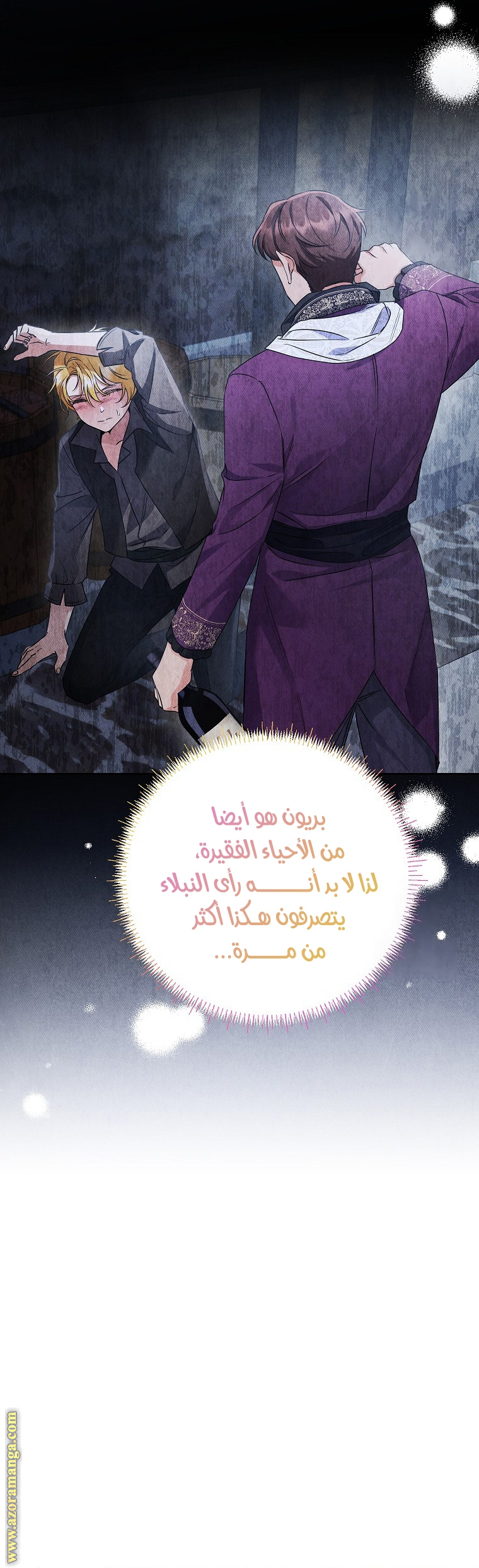 الصفحة 25