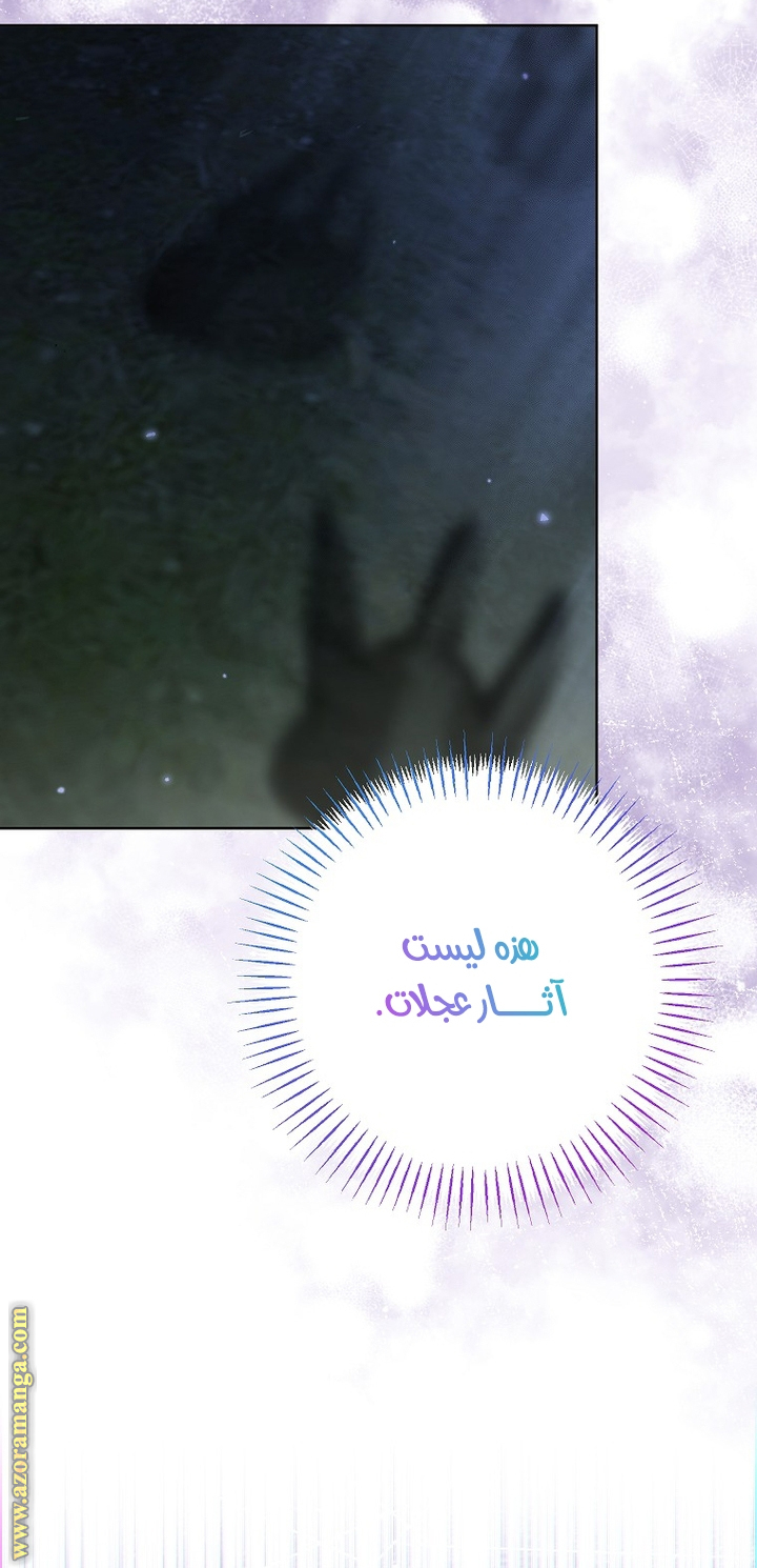الصفحة 46