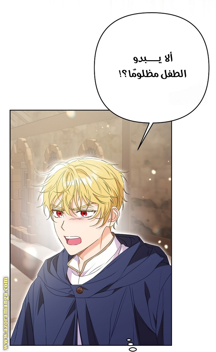الصفحة 29