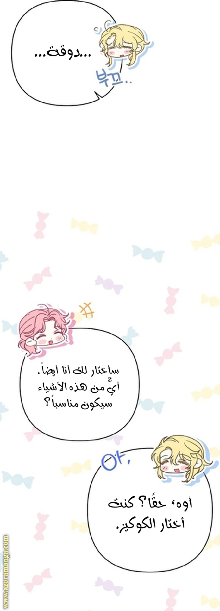 الصفحة 29
