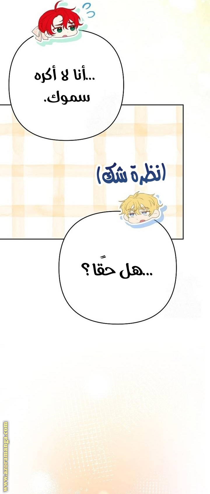 الصفحة 28