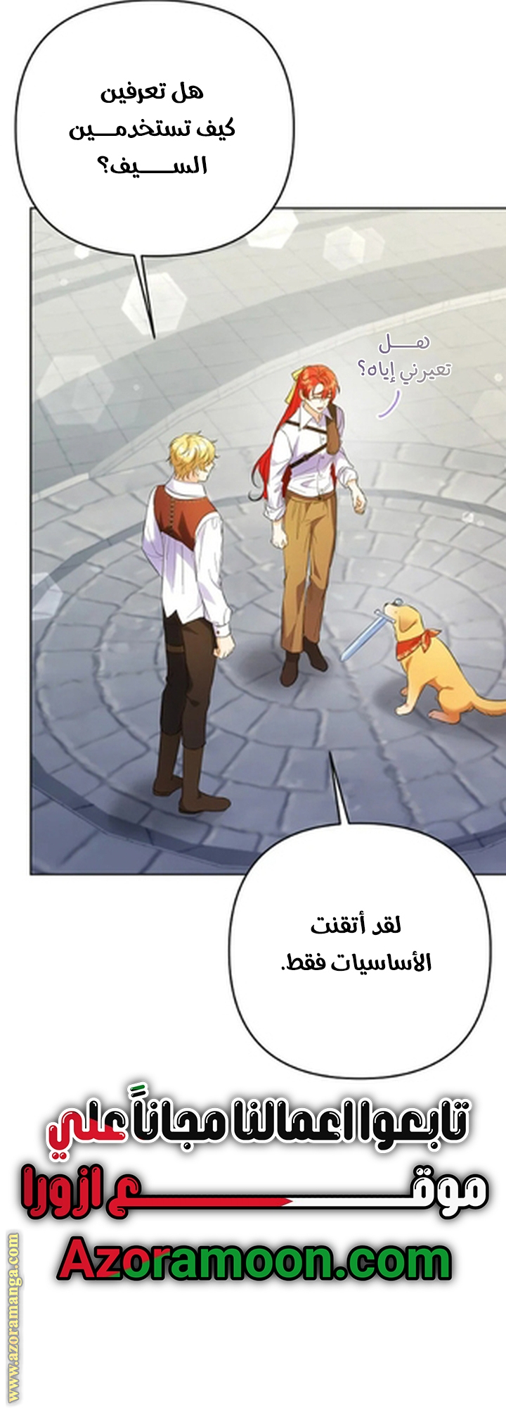 الصفحة 29