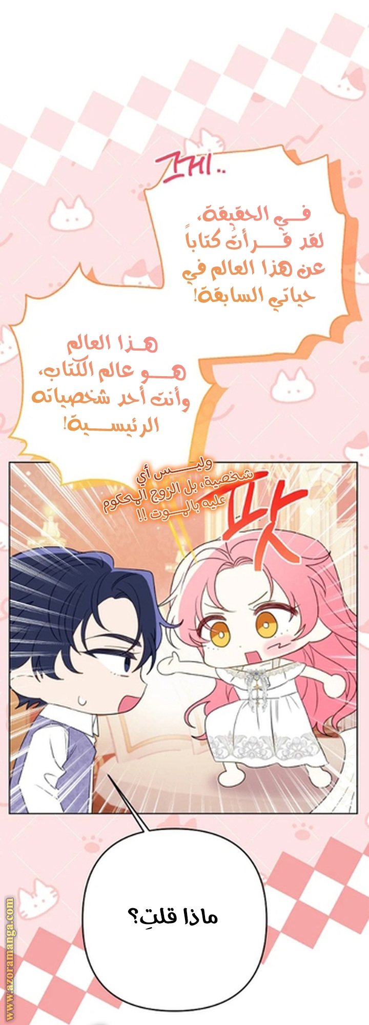 الصفحة 43