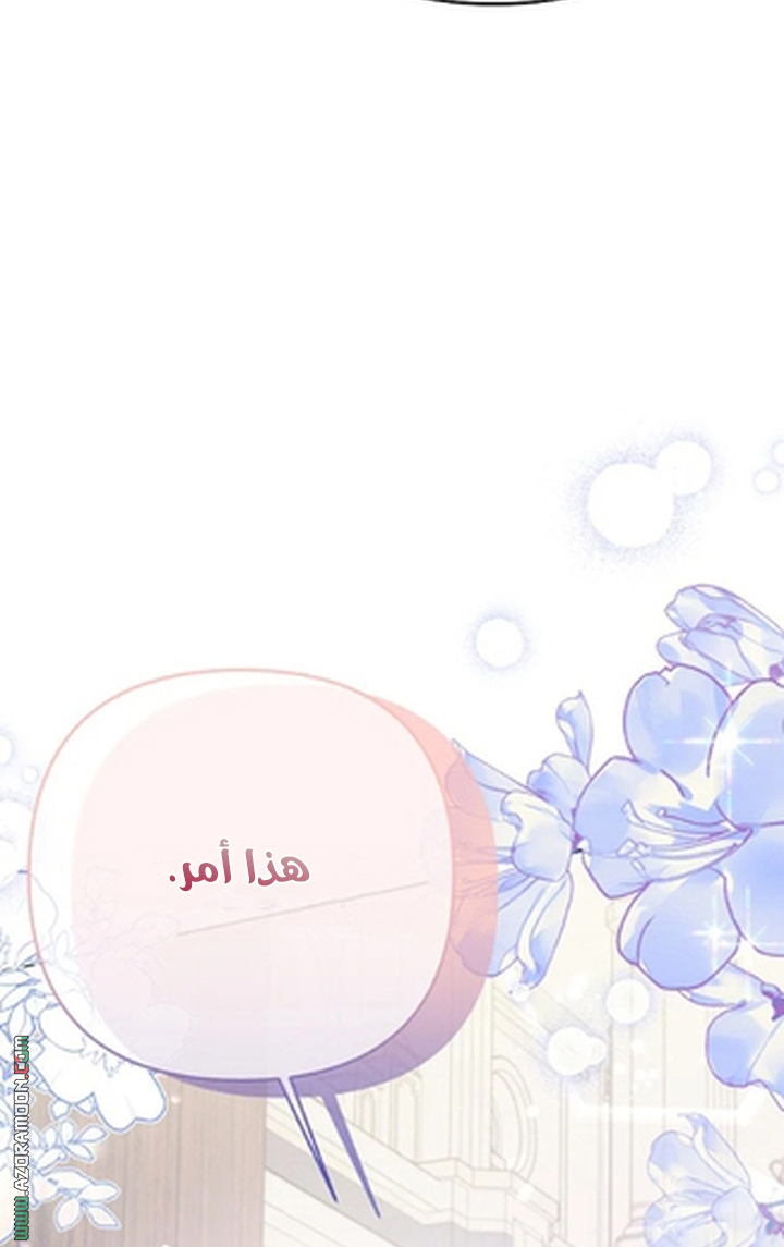 الصفحة 62