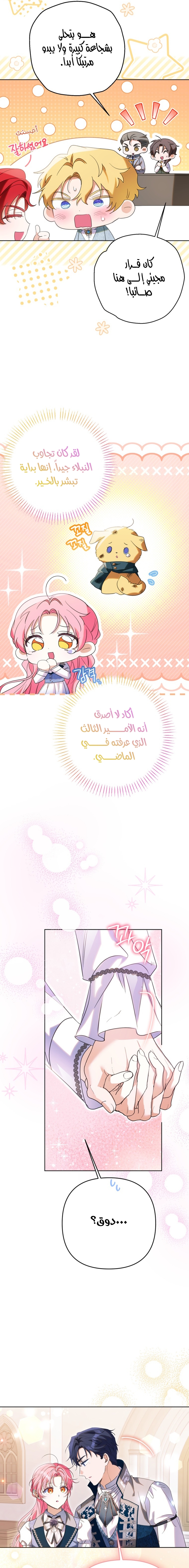 الصفحة 5