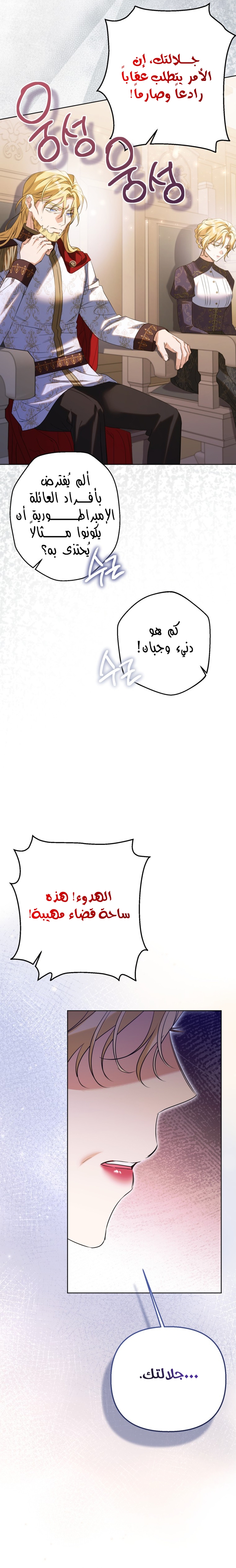 الصفحة 13