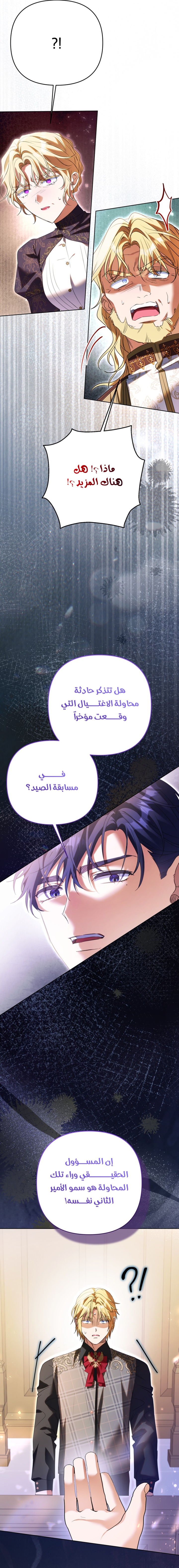 الصفحة 17