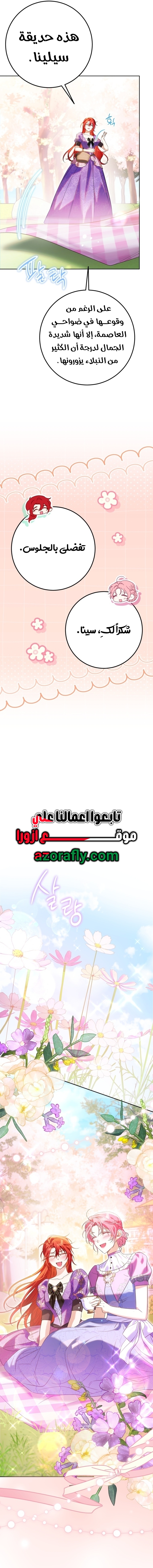 الصفحة 17