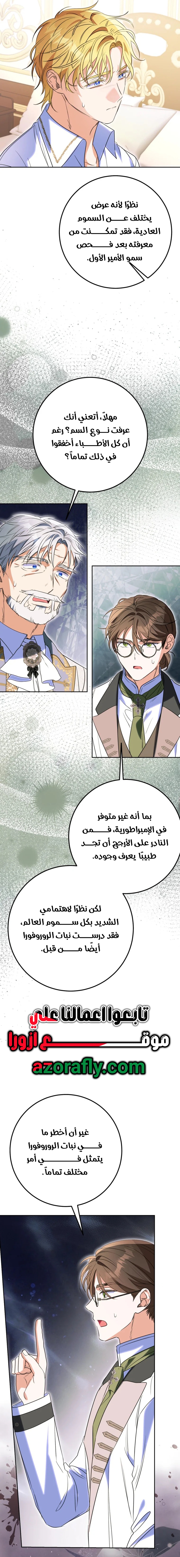 الصفحة 17