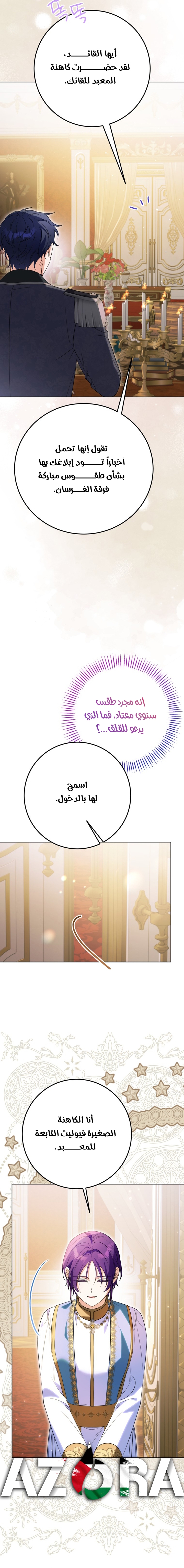 الصفحة 17