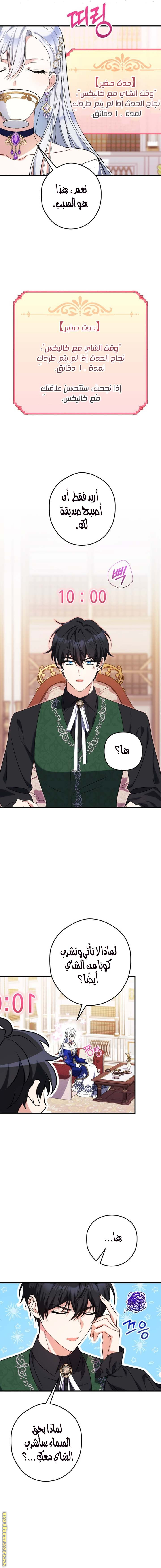 الصفحة 14