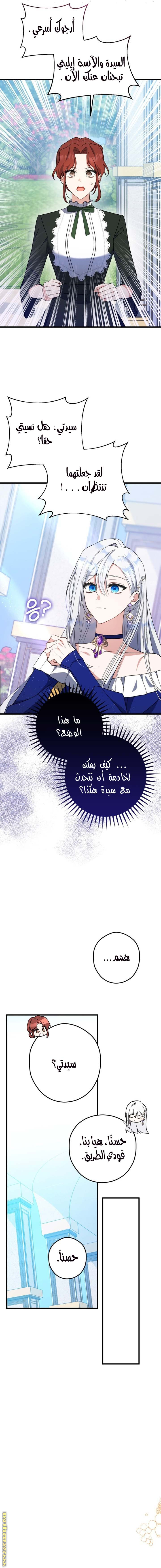 الصفحة 12