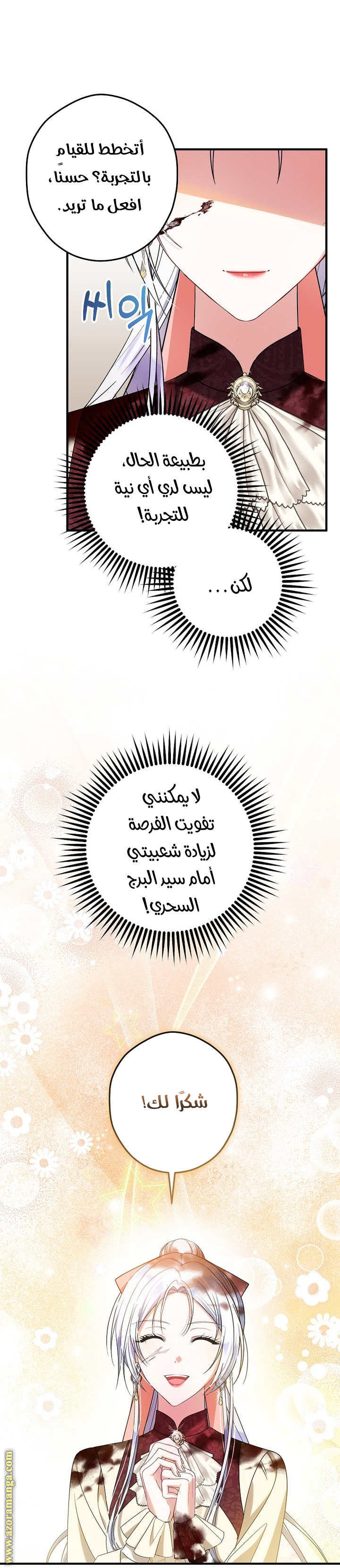 الصفحة 31