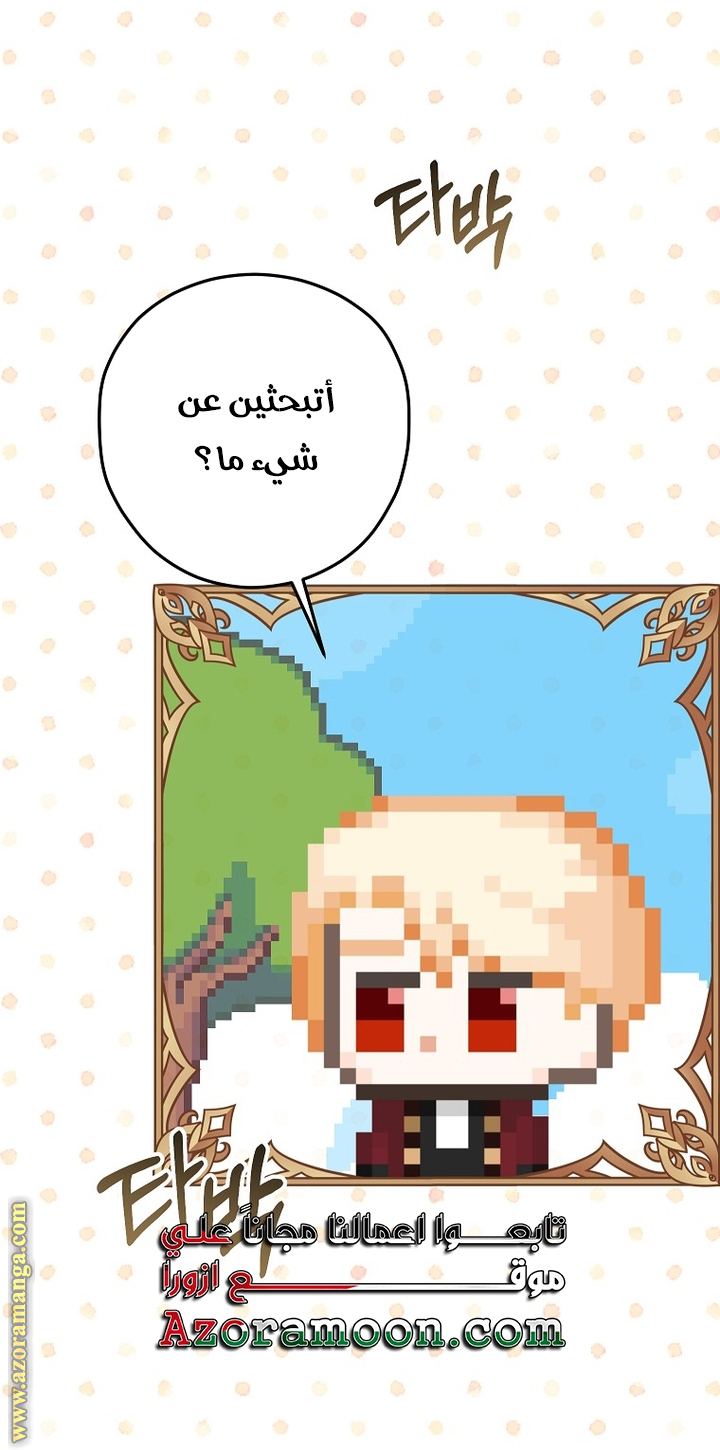 الصفحة 40
