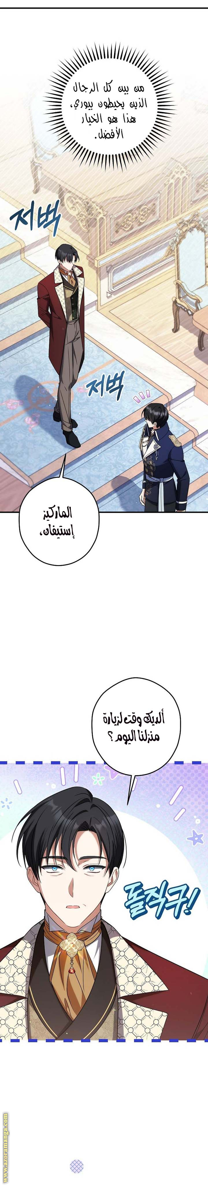 الصفحة 13