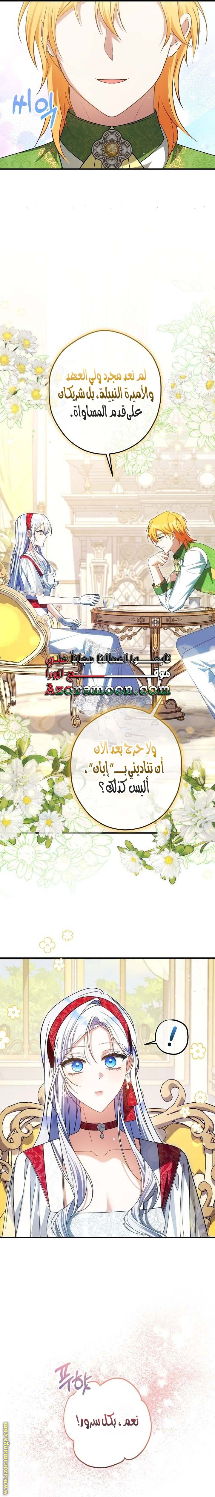 الصفحة 25