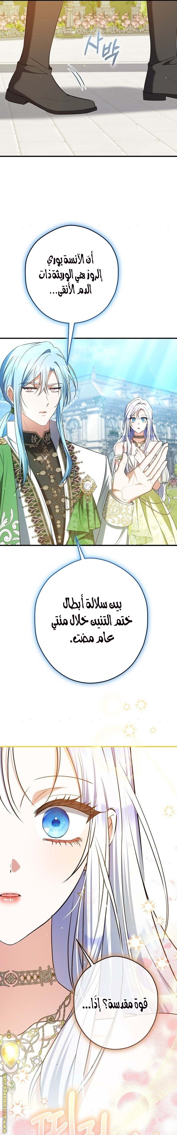 الصفحة 17