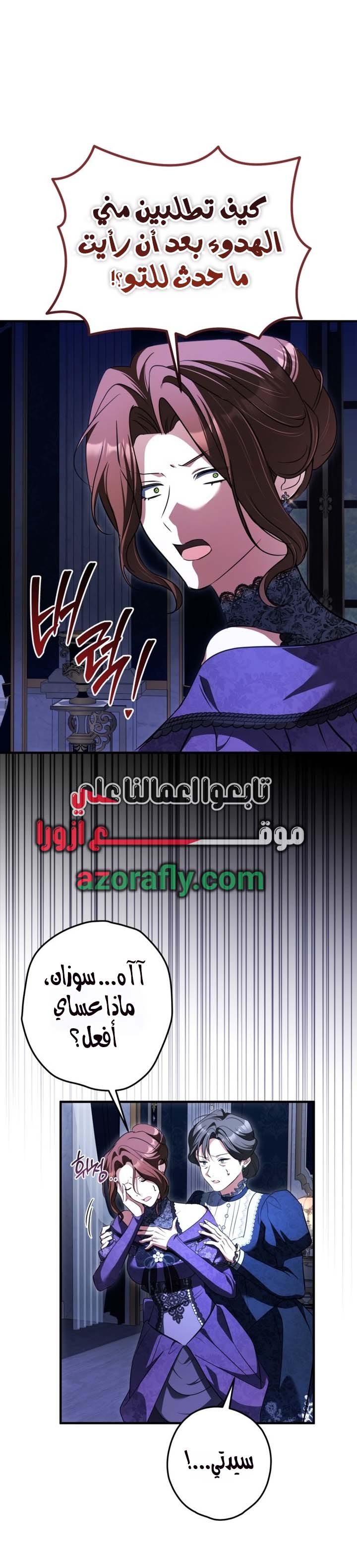 الصفحة 17