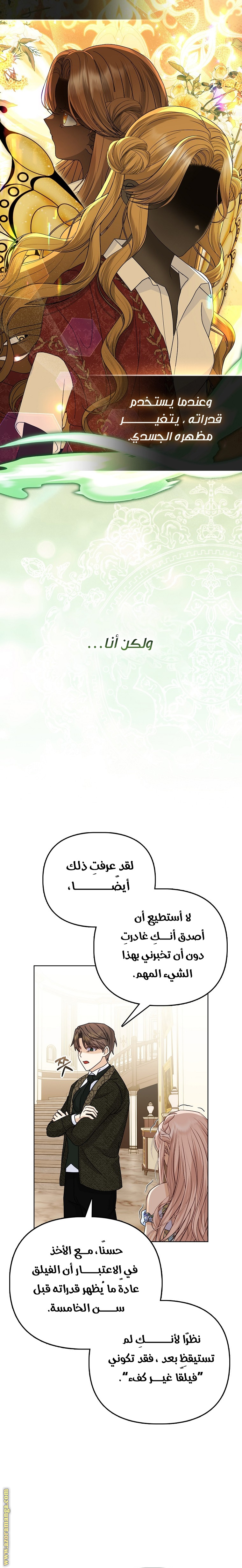 الصفحة 17