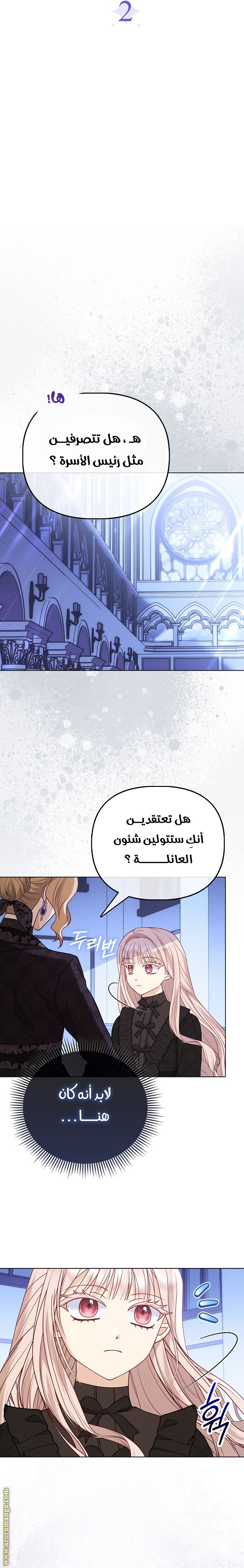 الصفحة 13
