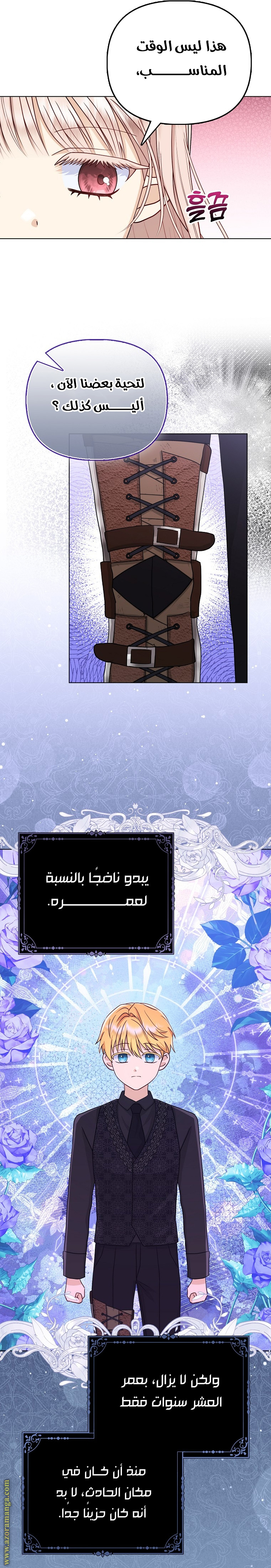 الصفحة 17