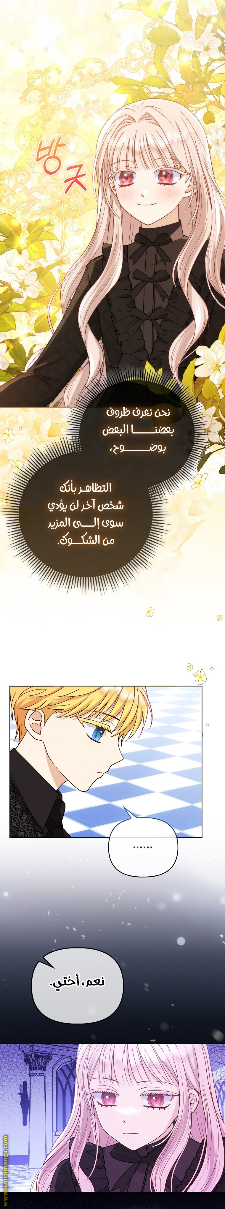 الصفحة 20