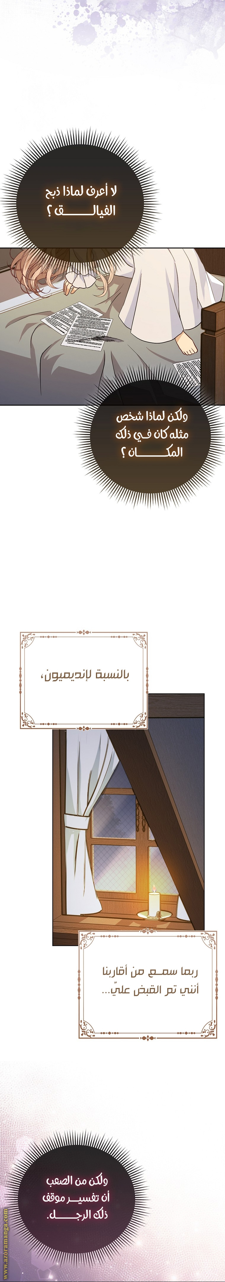 الصفحة 25