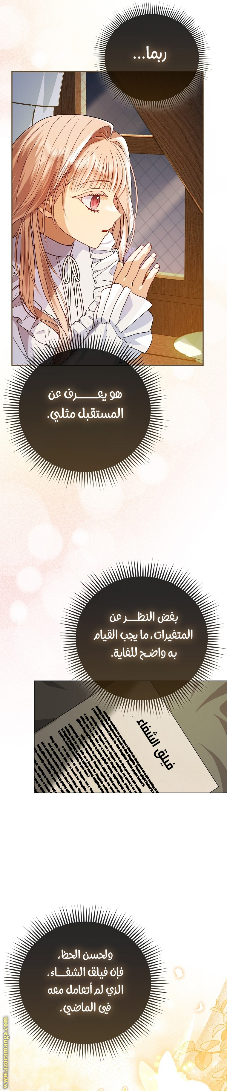 الصفحة 27