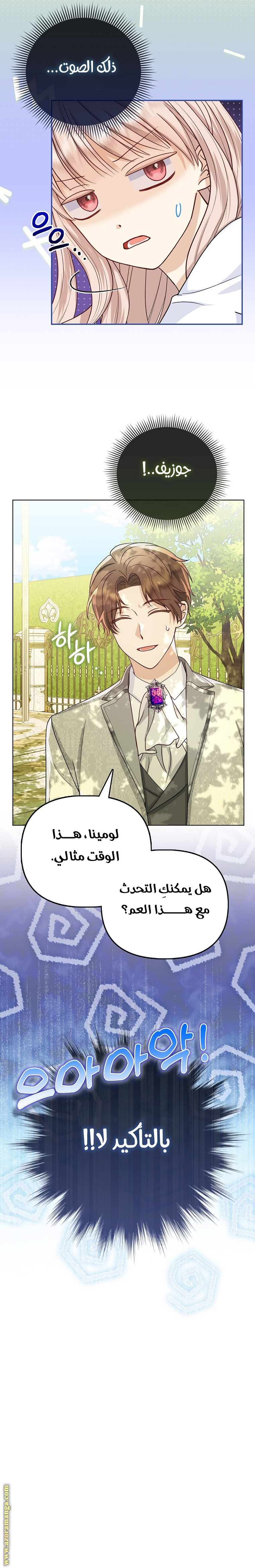 الصفحة 13