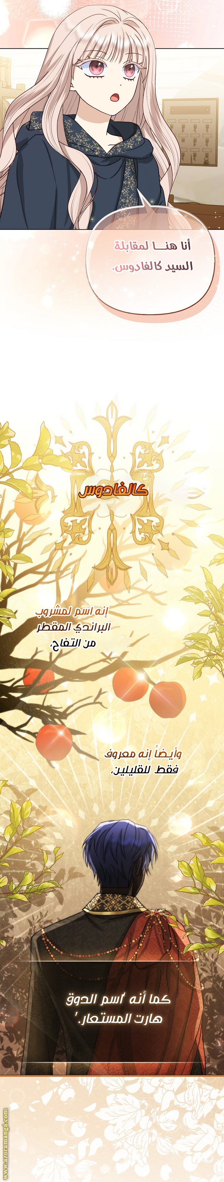 الصفحة 16