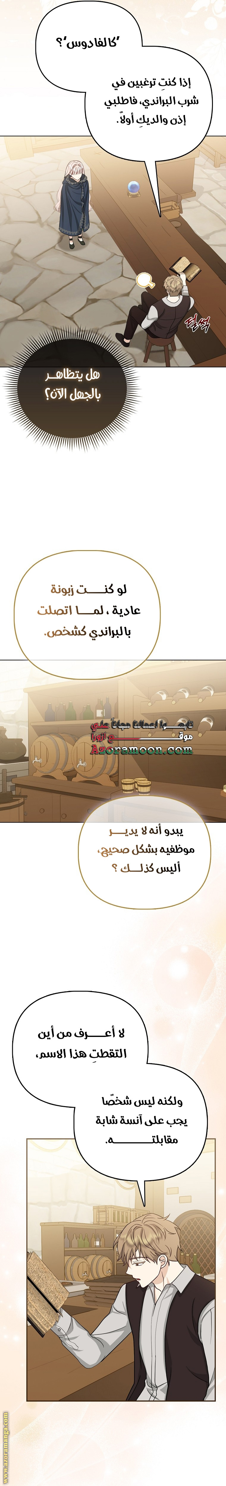 الصفحة 17
